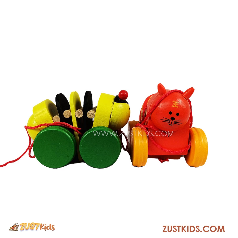 Caterpillar pull along wooden musical toy