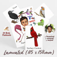 useful flashcards for kids - 39 birds laminated flashcards